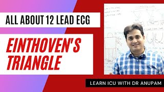 ECG BASICS WHAT IS 12 LEAD ECG EINTHOVENS TRIANGLE Dr Anupam Mohapatra [upl. by Alfred52]