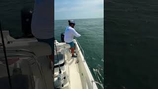 Helping My Friend Catch His First False Albacore [upl. by Brannon]