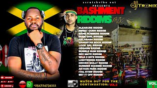 BASHMENT RIDDIMS MIX VOL 1 SEX MATE RIDDIM  ORGASM RIDDIM  PLEASURE RIDDIM  DJ TRONIX 254 [upl. by Jerri607]