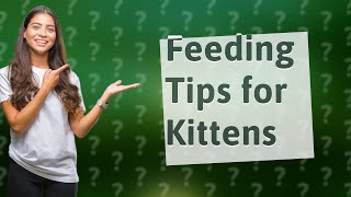 Can you overfeed a 5 week old kitten [upl. by Sergeant181]