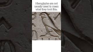 How Did Egyptian Hieroglyphs Work shorts [upl. by Eylhsa305]