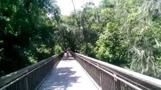 Fishhawk Ranch Lithia FL Bike Trail [upl. by Ennairak]