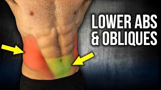 4min Home LOWER ABS and OBLIQUES Workouts NO EQUIPMENT [upl. by Juetta362]