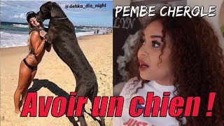 AVOIR UN CHIEN  Pembe Cherole [upl. by Gala488]