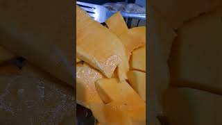 Mango harvest from the garden mangga fruit fruitshorts food foodshorts segar delicious panen [upl. by Nalhsa]