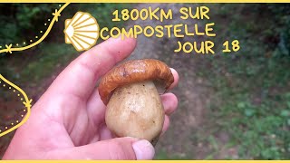 1800km sur compostelle jour 18 Orthez Saint Palais 36km voiedevezelay [upl. by Raf]