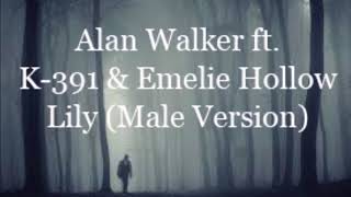 Alan Walker ft K391 amp Emelie Hollow  Lily Male Version [upl. by Kimberlee]