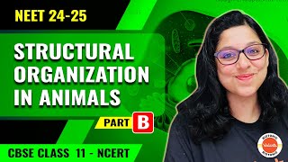 Structural Organization In Animals  Connective Tissue  Class 12 Biology  NEET 24  25 [upl. by Leakim]