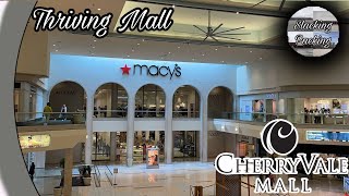 Cherryvale Mall  Rockford Illinois [upl. by Laurita35]