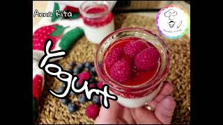 Yogurt home made [upl. by Jemie]