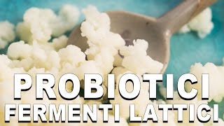 Probiotici e Fermenti Lattici [upl. by Ahtreb857]