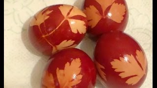 Oua vopsite cu coji de ceapa  Eggs Dyed With Onion Skins [upl. by Airliah]