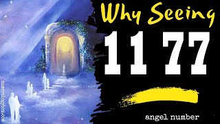 Angel Number 1177 Spiritual Sybolism – The Reason Why Are You Seeing 1177 [upl. by Mcevoy845]