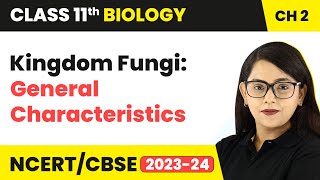 Kingdom Fungi General Characteristics  Class 11 Biology Chapter 2  NCERTCBSE [upl. by Muirhead352]