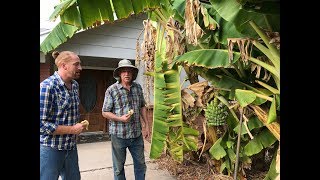 How To Construct A Healthy Soil  Interview with Master Gardener [upl. by Ynnoj620]