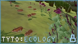 FIELDS OVERFLOWING WITH MICE  TYTO ECOLOGY  Episode 8 [upl. by Leeland]