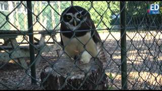 Papegaaienpark Oerle wordt Zoo Veldhoven [upl. by Anjali235]