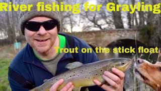 Winter River fishing for Grayling  Trout on the stick float [upl. by Oicnevuj]