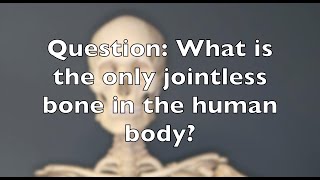 Trivia Question What is the only jointless bone in the human body [upl. by Yorgen]