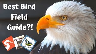 Best Bird Field Guides  Birds of North America [upl. by Nannahs]