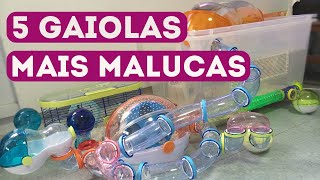 TOP 5 GAIOLAS DE HAMSTER MAIS CRIATIVAS E MALUCAS 🤪😱🐹 [upl. by Eyma]