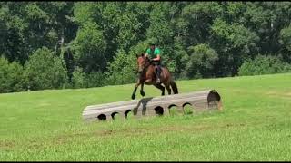 Edison  Cross Country Schooling  Training Level [upl. by Hurd483]