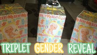 Triplets Gender Reveal [upl. by Sibeal]