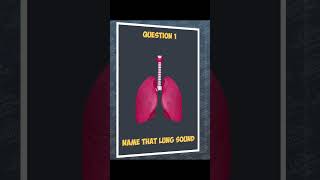 Name that lung sound medicaleducation respiratorymedicine lungsounds auscultation medical quiz [upl. by Ennaxor]