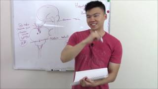 USMLE Neurology 20 Neuro Pathology Herniations [upl. by D'Arcy]