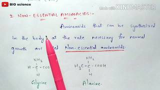 Classification of aminoacids  Based on their nature and functions  Organic biochemistry [upl. by Esinwahs]