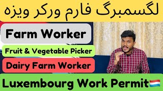 Luxembourg Top 10 Farm Companies  How to apply for Luxembourg Job europe luxembourg immigration [upl. by Ignacio434]