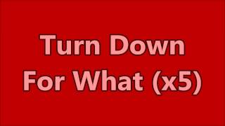 Turn Down For What ft Pitbull amp Ludacris Explicit LYRIC V [upl. by Leighton]