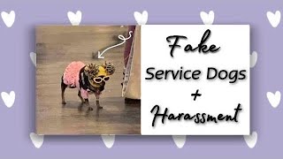 SERVICE DOG HARASSMENT COMPILATION [upl. by Eidlog]