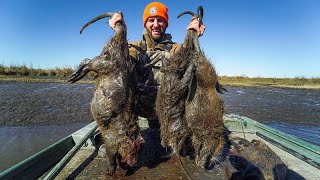 Hunting GIANT Marsh RATS for Food  Louisiana Nutria Hunting and Cooking [upl. by Aiuhsoj]