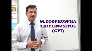 Glycophosphatidylinositol GPI  A Quick Review [upl. by Nwahsat]