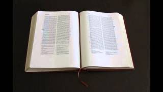 Psalm 6 Die Bibel  Neue evangelistische Übersetzung [upl. by Avictor]