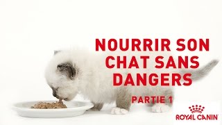 Nourrir son chat sans dangers  PARTIE 1⎜ROYAL CANIN® [upl. by Horodko]