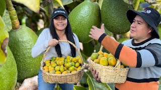 Muchos SOÑAMOS con tener un PARAÍSO como este “TODO FRESCO” 🥑🥘🥒 Josué y Elie [upl. by Fredette335]