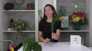 Aspidistra Techniques Framing Floral Techniques Companion Video [upl. by Nwonknu]