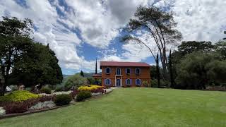 4K  Le Jardin Parque de Lavanda  Gramado RS  Janeiro 2024 [upl. by Liakim918]