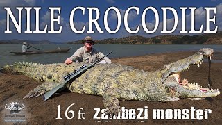 MASSIVE 16ft Nile Crocodile  Zambezi RiverMozambique [upl. by Tildie361]