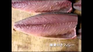 TOYO764 Filleting Machine for Mackerel SABA [upl. by Ueik51]