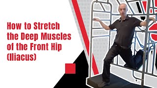 How to Stretch the Deep Muscles of the Front Hip Iliacus  Ed Paget [upl. by Adnohsel]