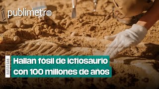 ¿Un dinosaurio Encuentran huesos de ictiosaurio en Rusia [upl. by Marijane312]