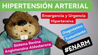 ✅✅Resumen completo HIPERTENSIÓN Y CRISIS HIPERTENSIVA  SISTEMA RENINA ANGIOTENSINA ALDOSTERONA [upl. by Ennyleuqcaj42]