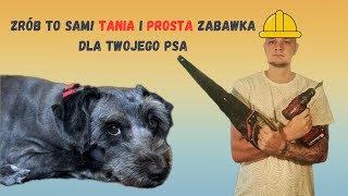 Zrób to sam Prosta i angażująca zabawka dla Twojego Psa [upl. by Nairde]