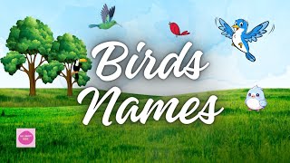 50 Names of BirdsEarly knowledge of birds for your kidz [upl. by Snah759]