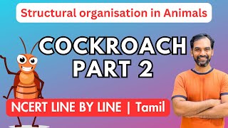 Cockroach in Tamil  Part 2  NCERT Line by line [upl. by Elianora]