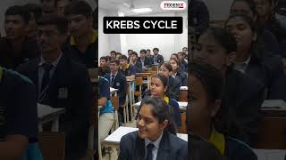 Song 🎶 to learn Krebs cycle 🤯🎯shorts biology music trending trick [upl. by Karsten]