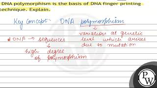 DNA polymorphism is the basis of DNA finger printing technique Explain [upl. by Otreblif]